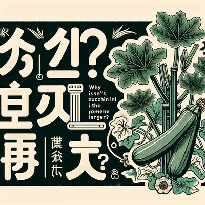 家庭菜園でズッキーニ 大きくならないのはなぜ？