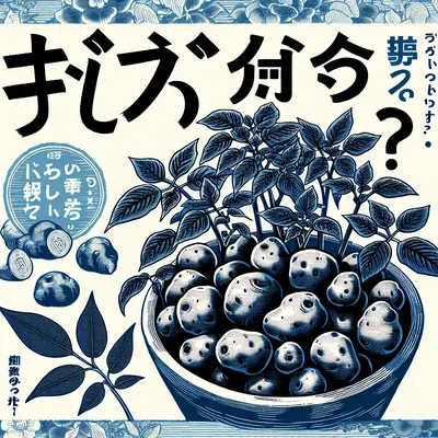 家庭菜園でじゃがいもの小さいのは食べ れる？