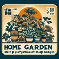 家庭菜園・日が当たらないときは？