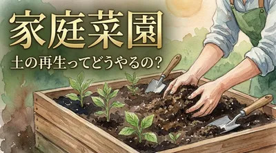 家庭菜園の土の再生ってどうやるの？