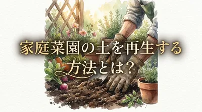 家庭菜園の土を再生する方法とは？