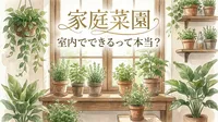 家庭菜園 室内でできるって本当？