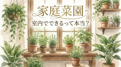 家庭菜園 室内でできるって本当？