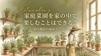 家庭菜園を家の中で楽しむことはできる？