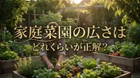 家庭菜園の広さはどれくらいが正解？
