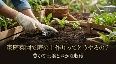 家庭菜園で庭の土作りってどうやるの？