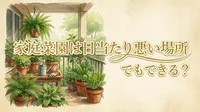 家庭菜園は日当たり悪い場所でもできる？