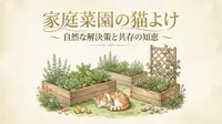 家庭菜園の猫よけってどうするべき？