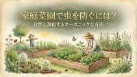 家庭菜園で虫を防ぐには？