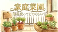 家庭菜園の難易度ってどのくらい？
