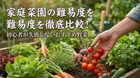 家庭菜園の難易度を徹底比較！初心者が失敗しないおすすめ野菜