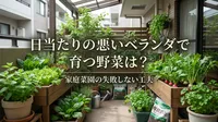 日当たりの悪いベランダで育つ野菜は？家庭菜園の失敗しない工夫