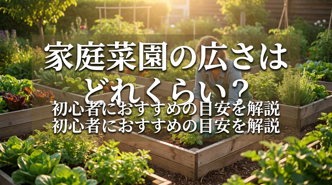 家庭菜園の広さはどれくらい?初心者におすすめの目安を解説