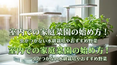 室内での家庭菜園の始め方！虫がつかない水耕栽培やおすすめ野菜
