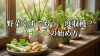 野菜くずでもう一度収穫？リボベジの始め方