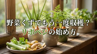 野菜くずでもう一度収穫？リボベジの始め方