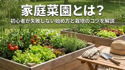 家庭菜園とは？初心者が失敗しない始め方と栽培のコツを解説