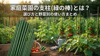 家庭菜園の支柱（緑の棒）とは？選び方と野菜別の使い方まとめ