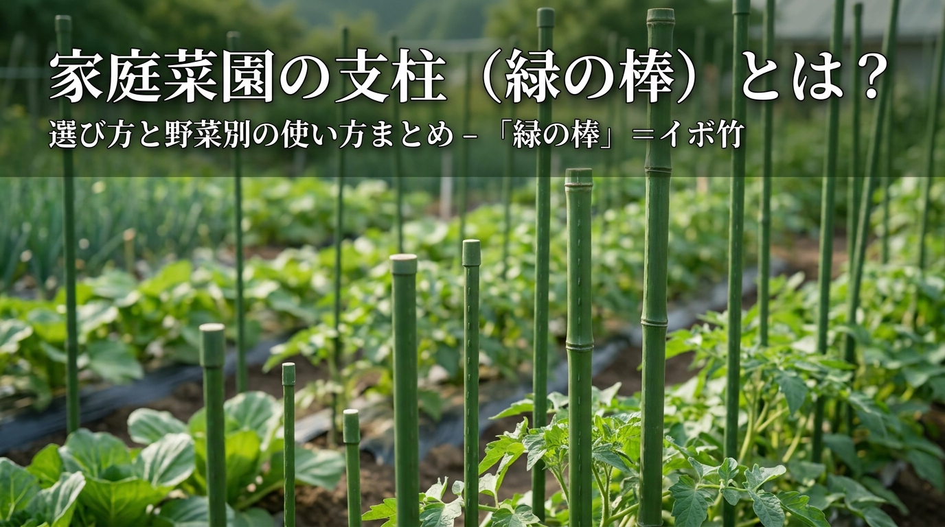 家庭菜園の「緑の棒」＝イボ竹とは