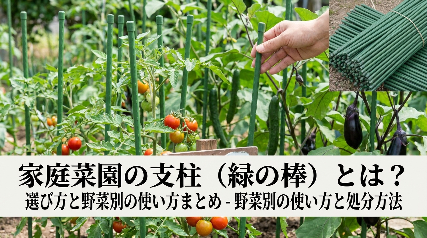 野菜別の使い方と処分方法