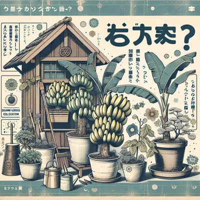 家庭菜園でバナナって育つの？